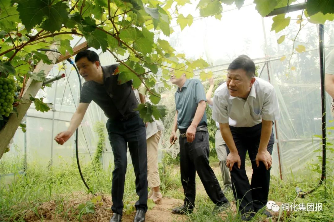 首页-suncitygroup太阳集团官方网站