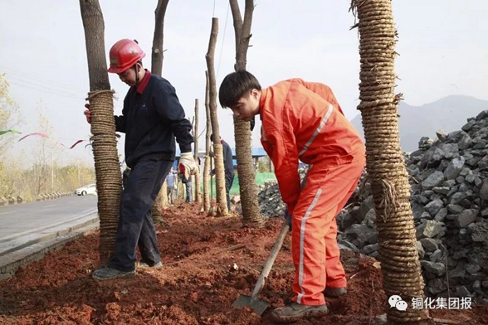 首页-suncitygroup太阳集团官方网站